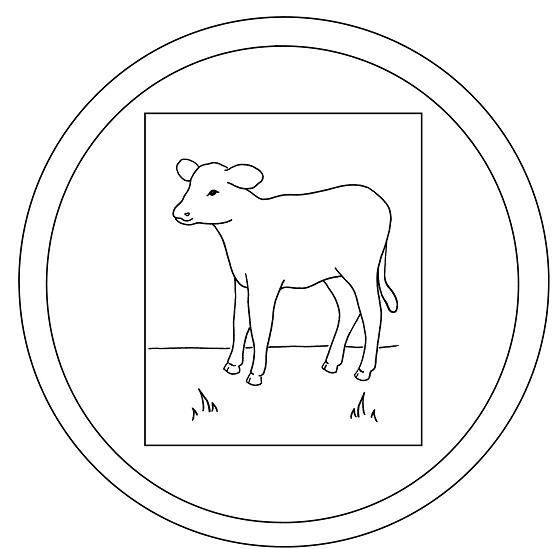 Un boeuf paisible dans un champ verdoyant