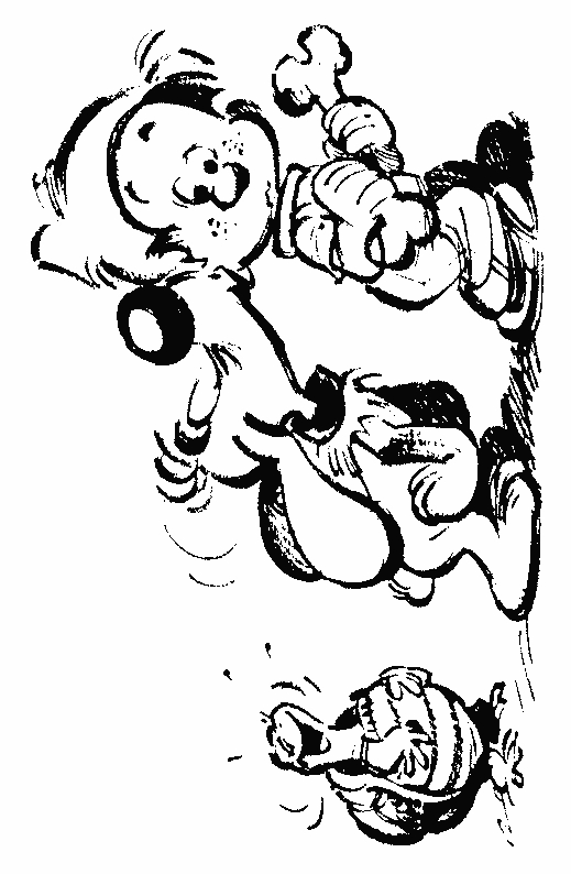 Boule et Bill jouant ensemble dans le jardin