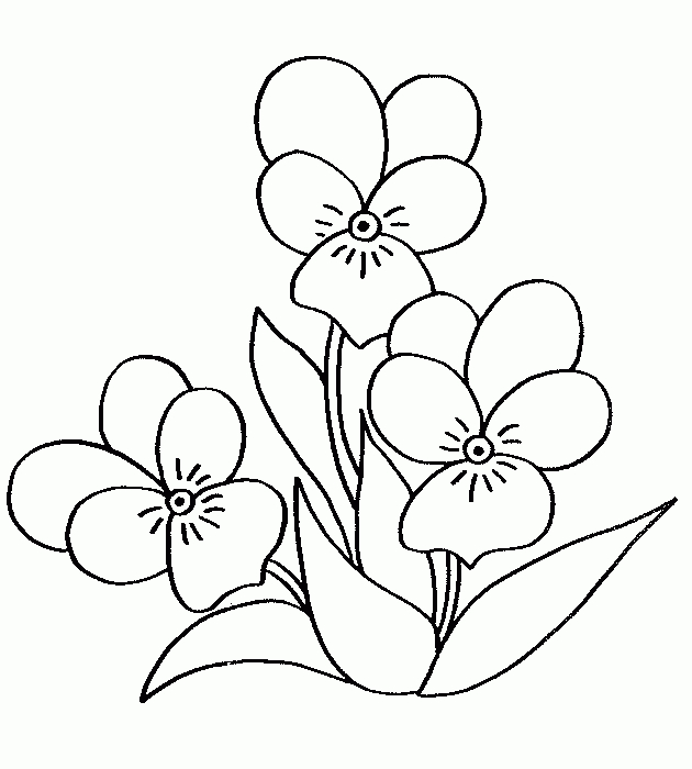 Coloriage d'un bouquet de fleurs variées dans un vase