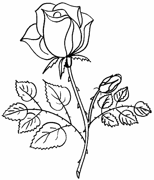Coloriage d'un bouquet de fleurs variées sur fond clair