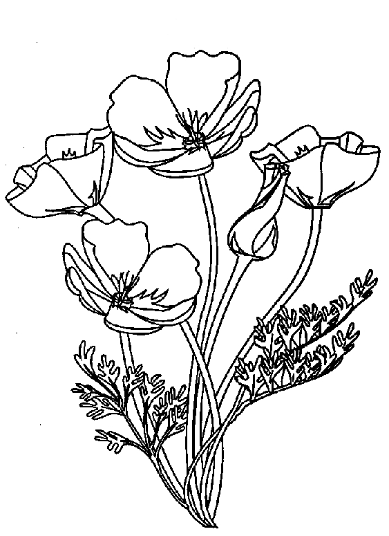 Coloriage d'un bouquet de fleurs variées en pleine floraison