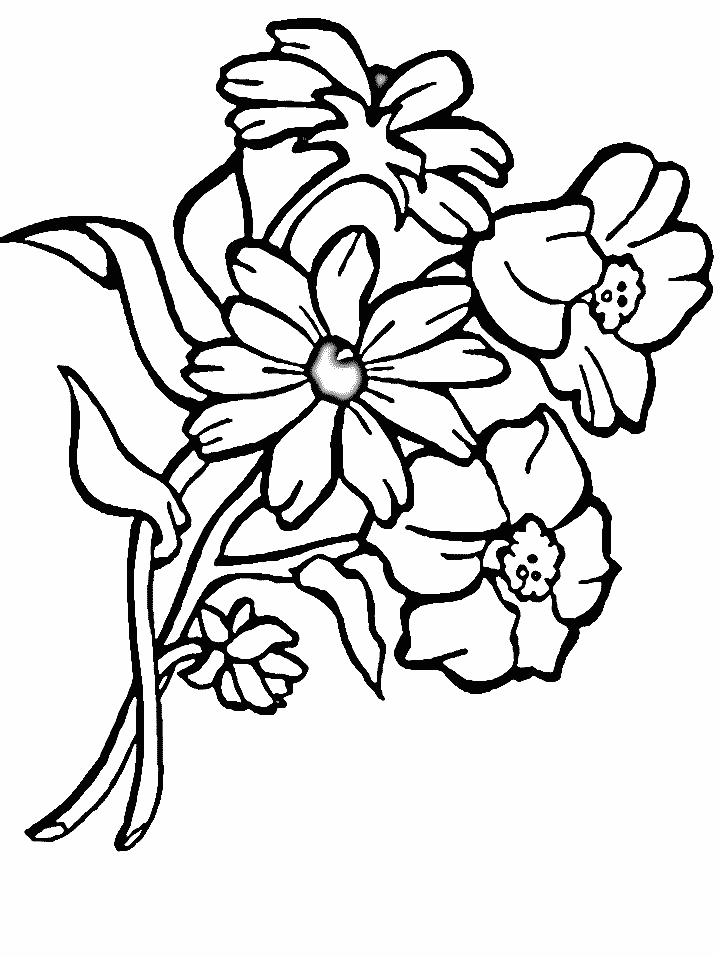 Coloriage d'un bouquet de fleurs avec des tiges et des pétales variés