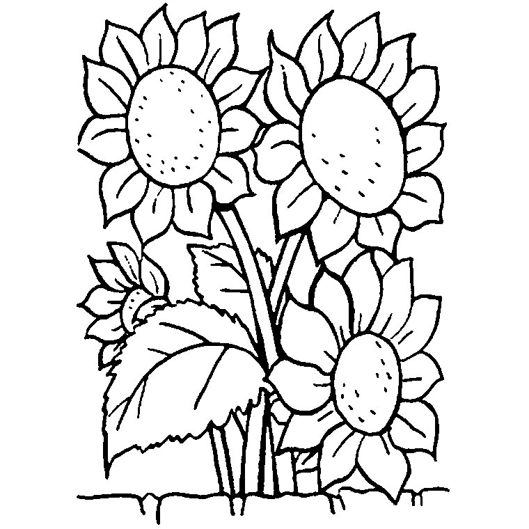 Coloriage d'un bouquet de fleurs avec des détails variés