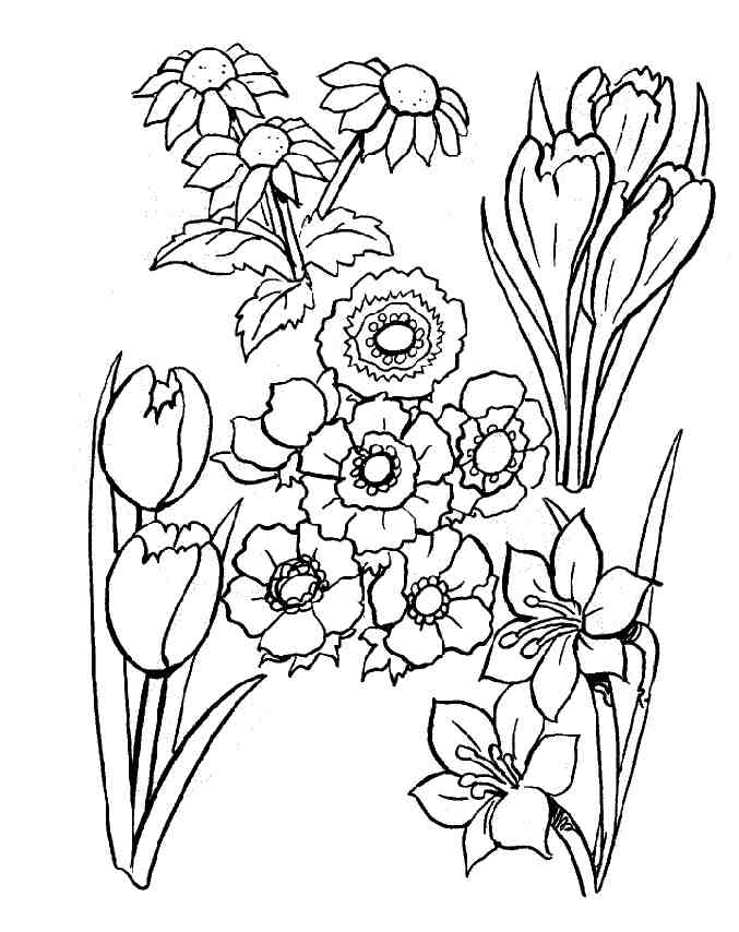 Coloriage d'un bouquet de fleurs variées sur fond neutre