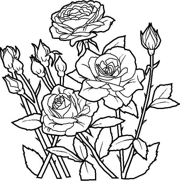 Bouquet de fleurs à colorier avec une riche variété de fleurs