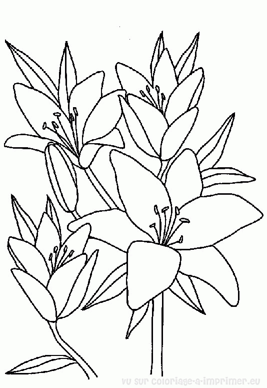 Coloriage d'un bouquet de fleurs variées dans un vase