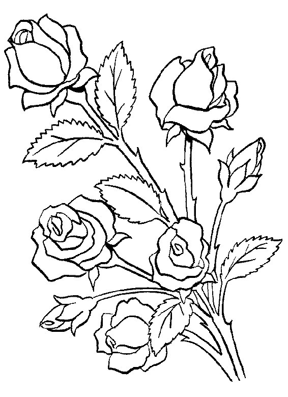 Coloriage d'un bouquet de fleurs avec divers types de fleurs et feuilles