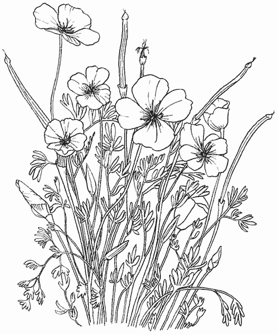 Un bouquet de fleurs à colorier avec des détails variés