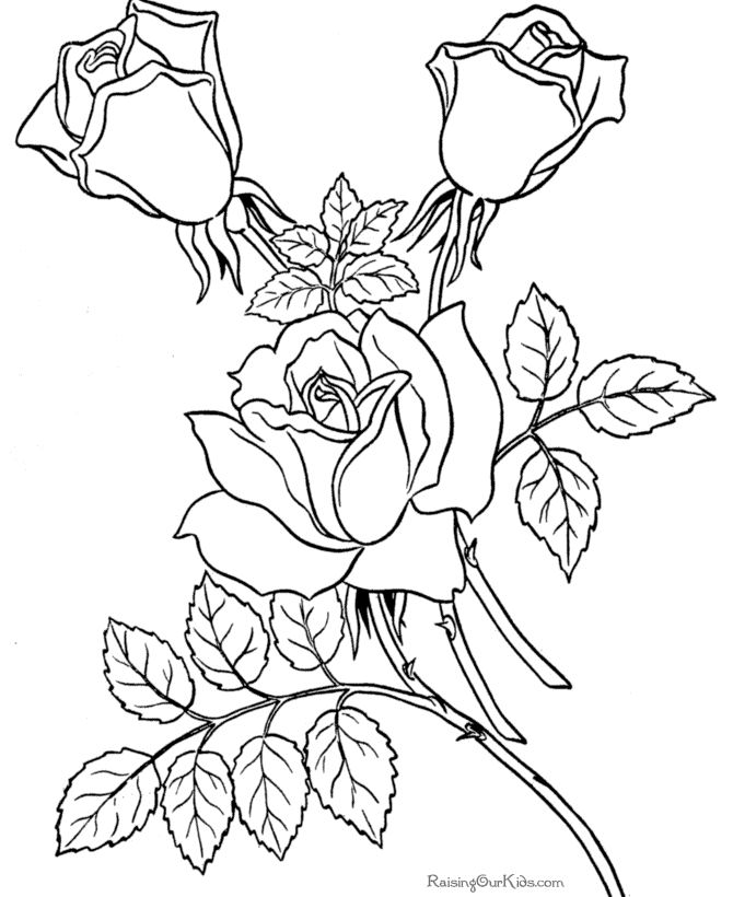 Coloriage d'un bouquet de fleurs variées sur fond blanc