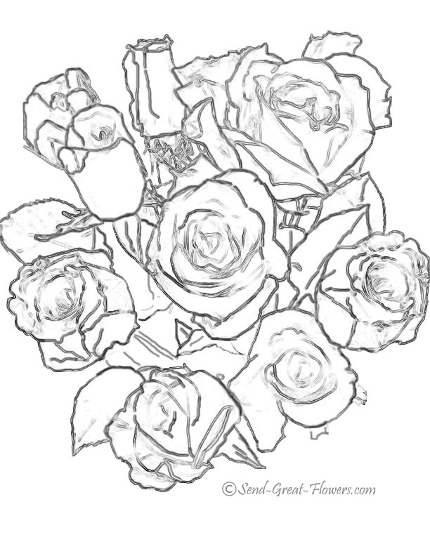 Coloriage d'un bouquet de fleurs avec plusieurs variétés de plantes