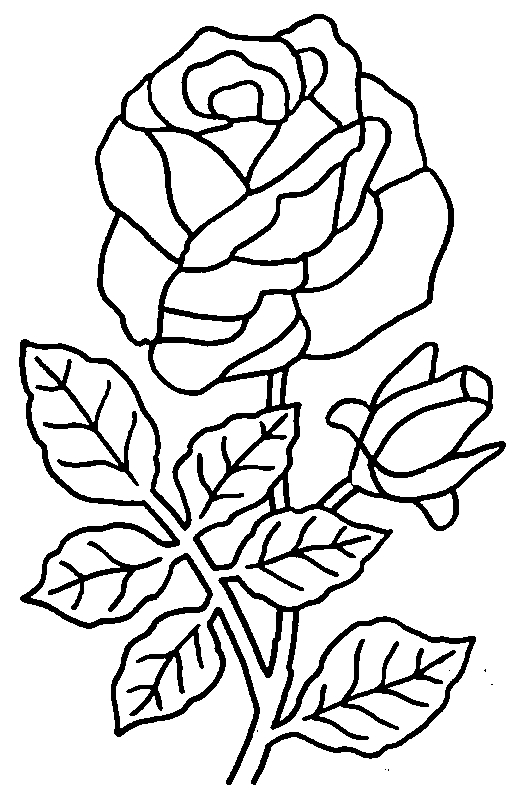Un bouquet de fleurs à colorier avec détails floraux