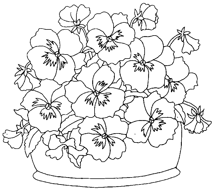 Coloriage d'un bouquet de fleurs variées sur fond blanc
