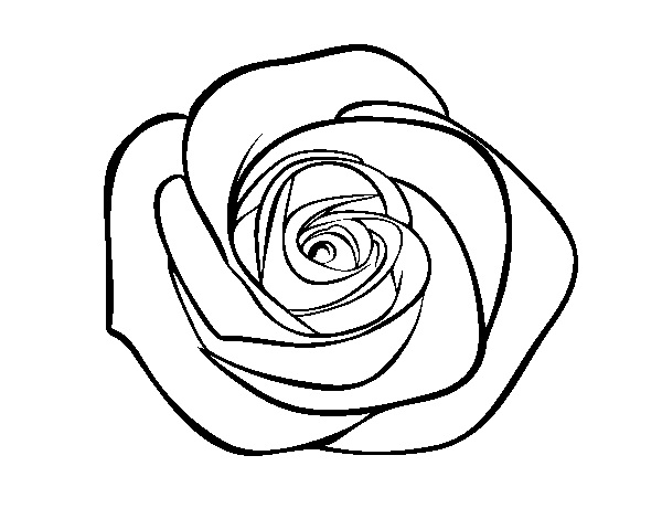 Coloriage d'un bouquet de fleurs épanoui sur fond simple