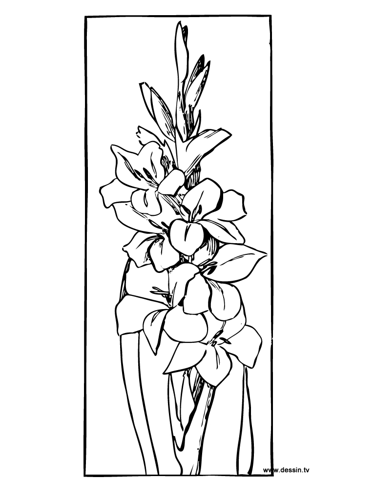 Coloriage d'un bouquet de fleurs avec divers types de fleurs