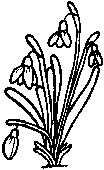 Coloriage d'un bouquet de fleurs variées en pleine floraison
