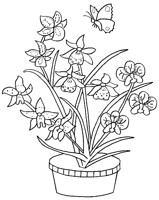 Coloriage d'un bouquet de fleurs avec divers types de fleurs et de feuillage