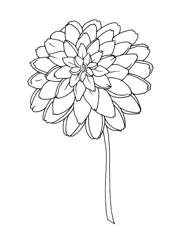 Coloriage d'un bouquet de fleurs dans un vase