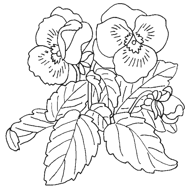 Coloriage d'un bouquet de fleurs avec des détails variés Coloriage d'un bouquet de fleurs avec des détails variés