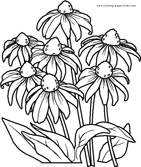 Coloriage d'un bouquet de fleurs variées dans un vase