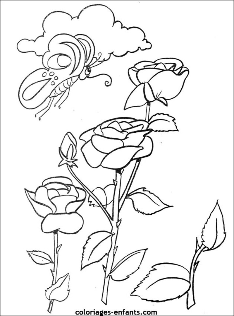 Coloriage d'un bouquet de fleurs variées avec tiges et feuillage