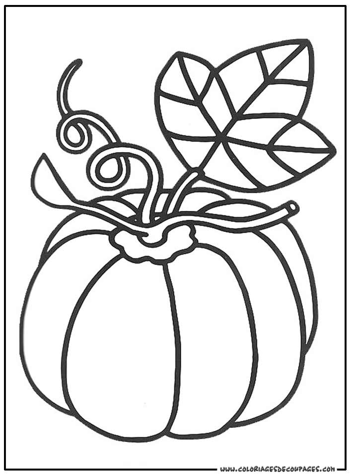 Coloriage d'un bouquet de fleurs variées dans un vase