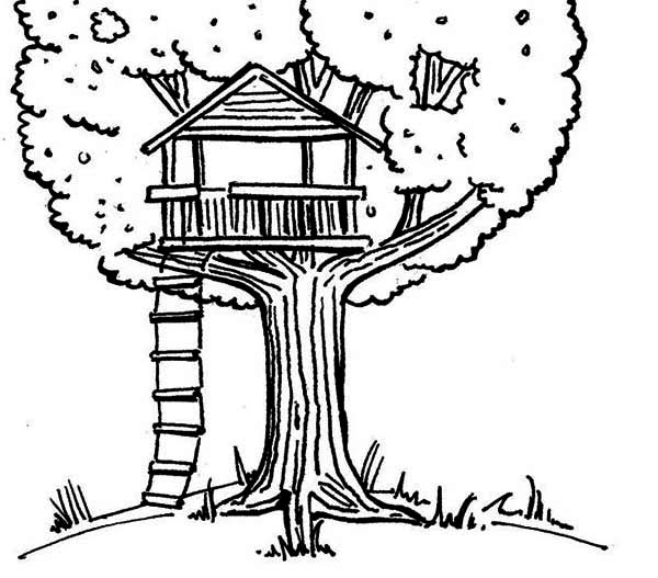 Coloriage d'une cabane dans un arbre entourée de verdure Coloriage d'une cabane dans un arbre entourée de verdure