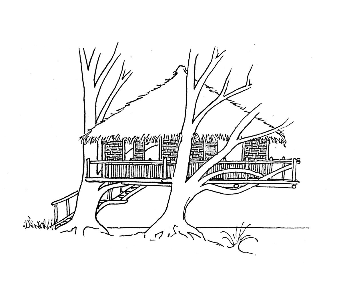 Coloriage Cabane dans un arbre #11190 à imprimer Coloriage Cabane dans un arbre #11190 à imprimer