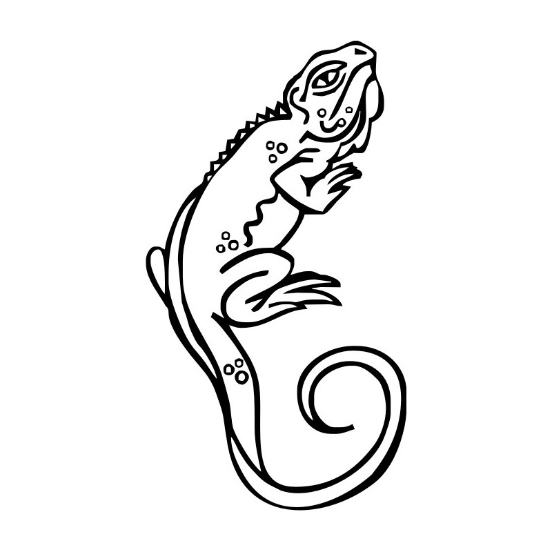 Un caméléon sur une branche entouré de feuillage