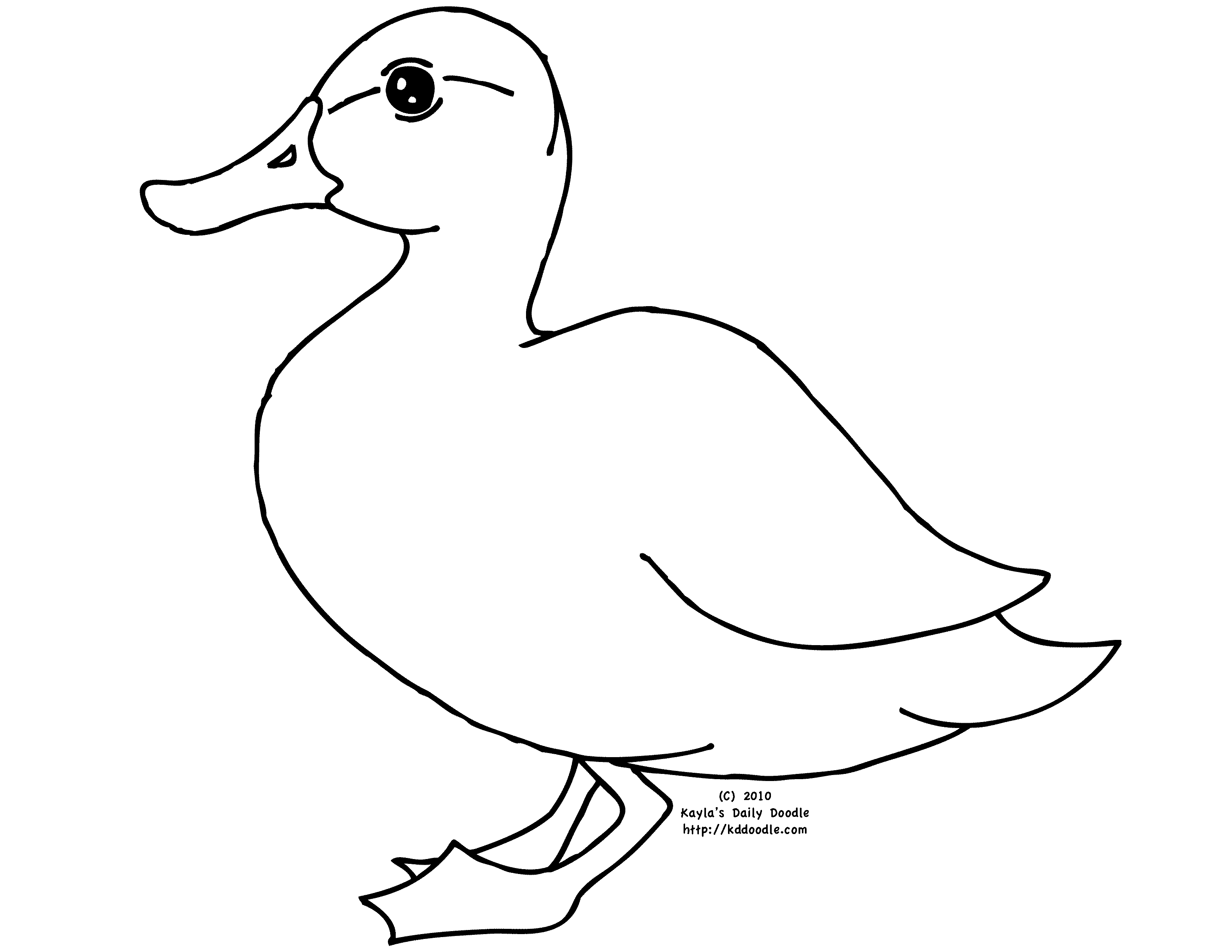 Un canard sur l'eau entouré de végétation