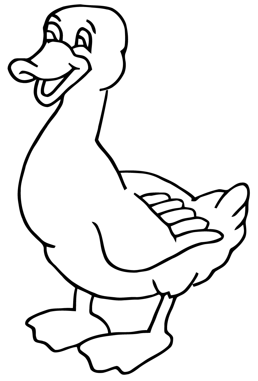Coloriage d'un canard nageant paisiblement sur l'eau