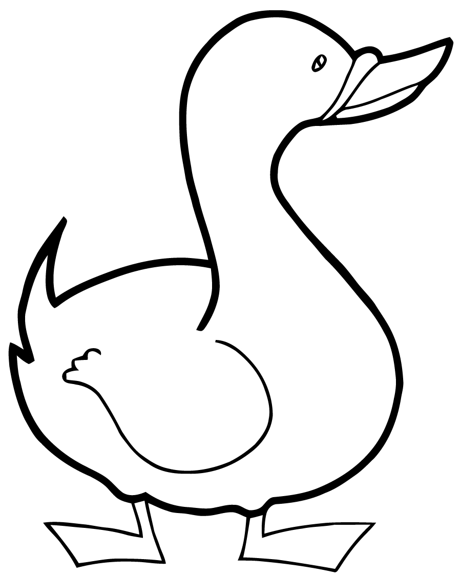 Coloriage d'un canard se reposant au bord de l'eau
