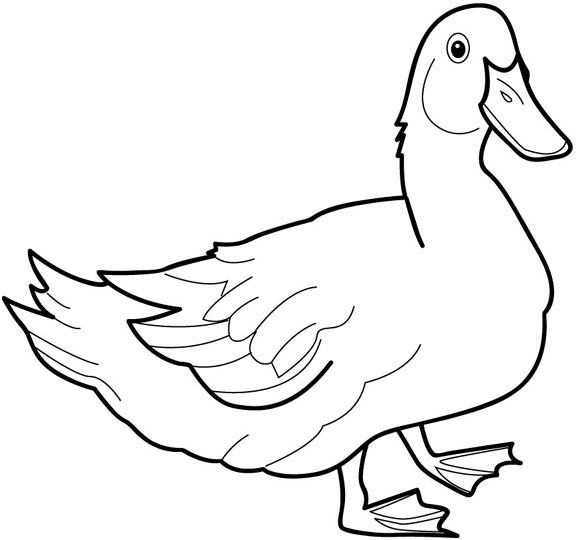 Coloriage d'un canard se reposant sur l'eau Coloriage d'un canard se reposant sur l'eau