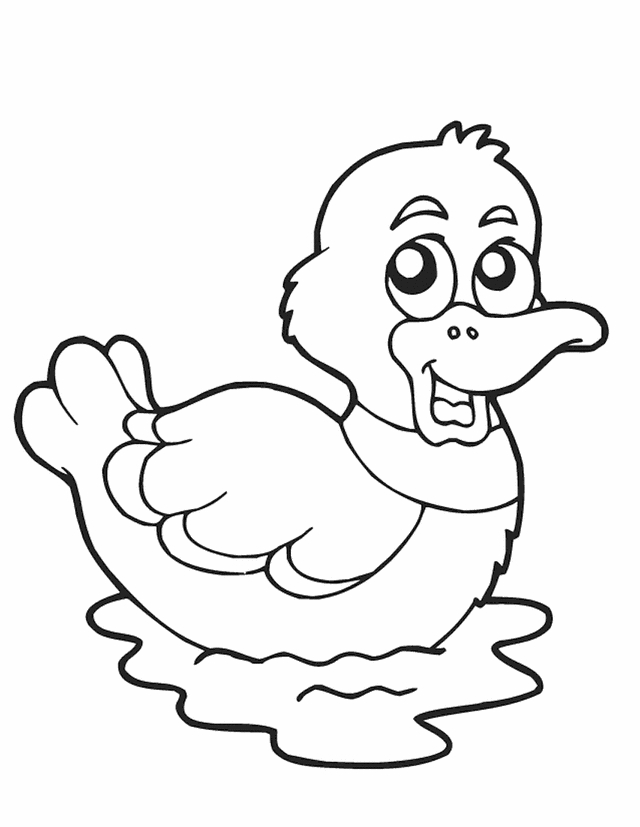 Un canard pataugeant joyeusement dans une mare