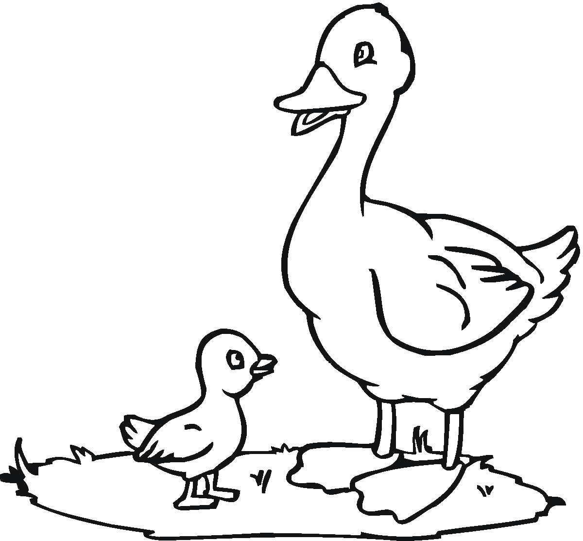 Coloriage d'un canard nageant paisiblement sur l'eau