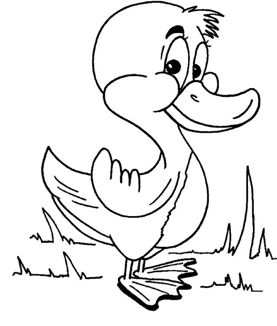 Un canard se reposant au bord d'un étang paisible