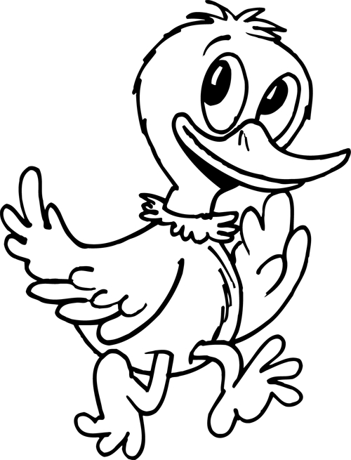Canard nageant paisiblement sur l'eau