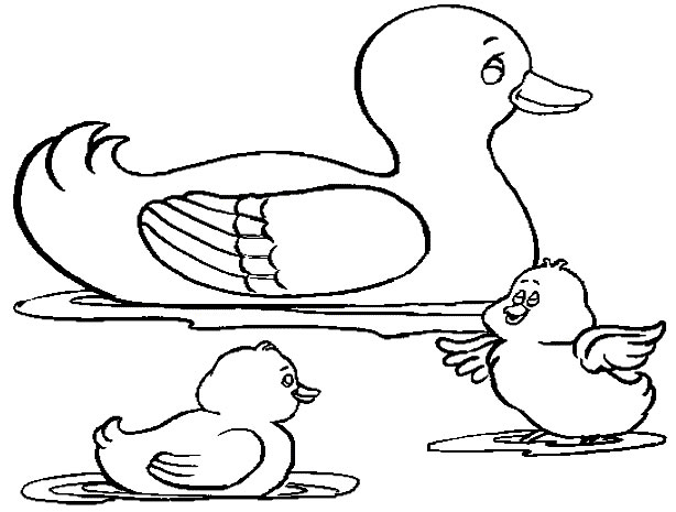 Coloriage d'un canard nageant paisiblement sur l'eau