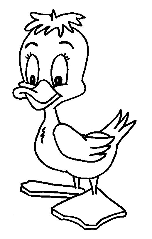 Coloriage d'un canard nageant sur l'eau
