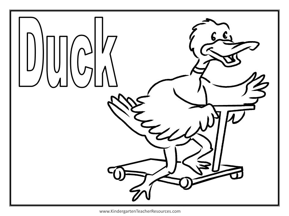Canard se reposant sur un étang entouré de fleurs