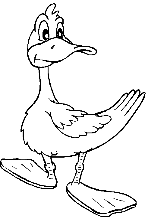 Coloriage d'un canard nageant paisiblement sur l'eau
