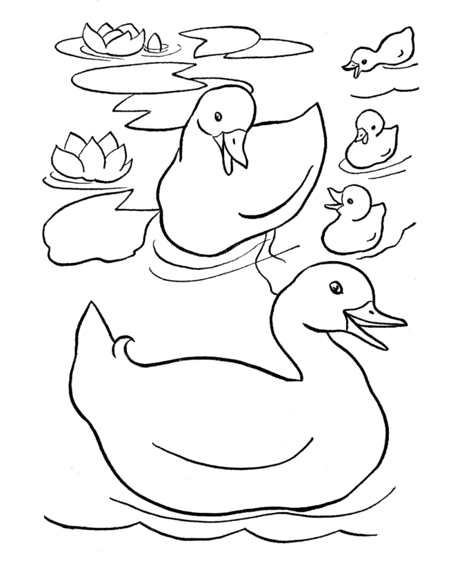 Coloriage d'un canard nageant paisiblement sur l'eau