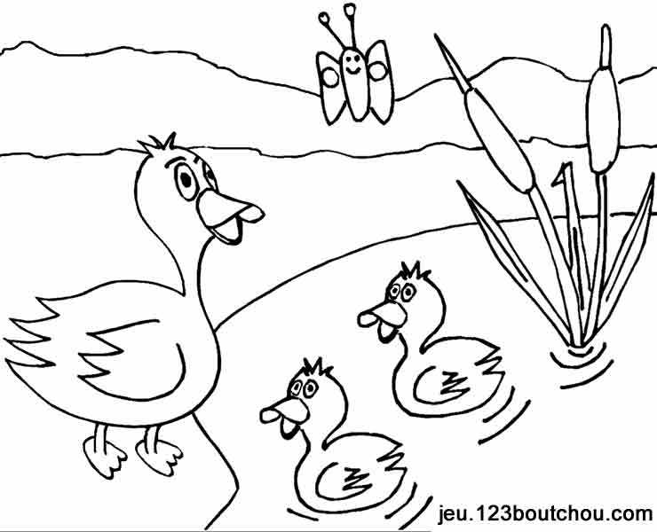 Un canard joyeux nageant paisiblement sur l'eau