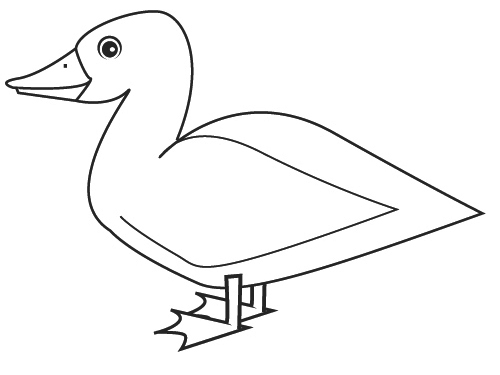 Canard nageant paisiblement sur l'eau
