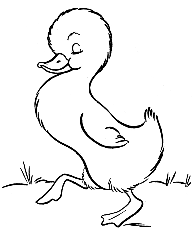 Un canard flottant paisiblement sur un étang