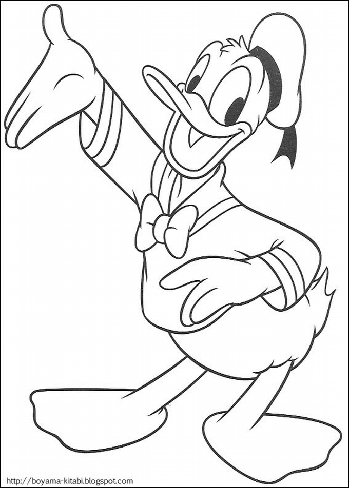 Canard flottant paisiblement sur un étang