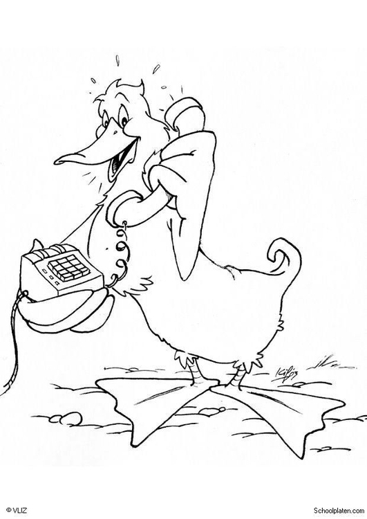 Un canard élégant nageant paisiblement sur l'eau