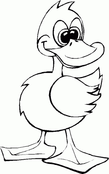 Canard flottant sur l'eau entouré de plantes aquatiques