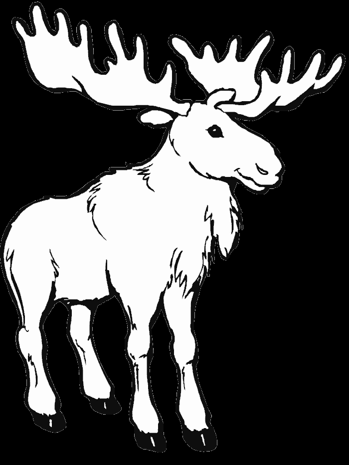 Un caribou majestueux se promenant dans un paysage forestier