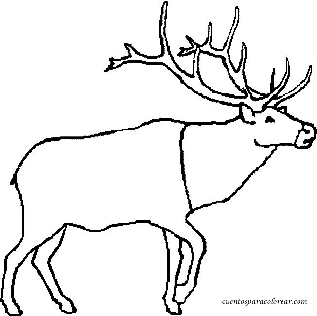 Coloriage Caribou #2368 à imprimer Coloriage Caribou #2368 à imprimer