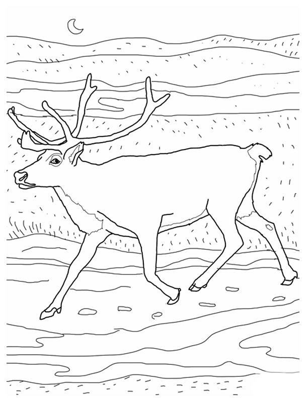 Caribou majestueux dans un paysage nordique